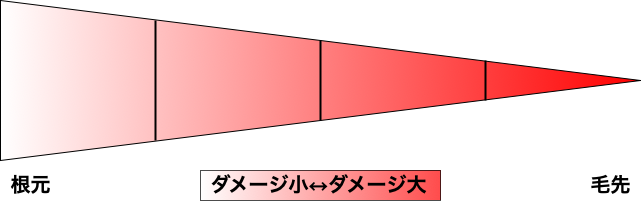 ホームヘアカラーによる髪の毛の根元と毛先のダメージの違い